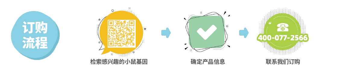 【维真生物】小鼠gRNA pool克隆