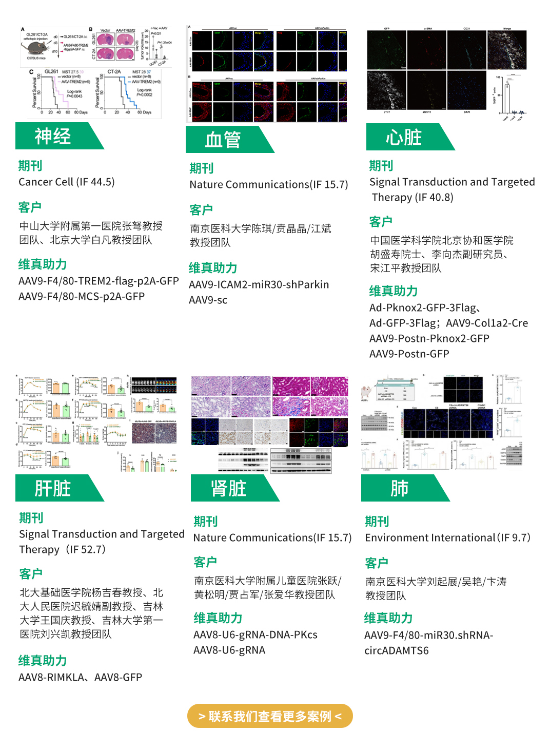 维真生物AAV助力客户在顶刊发表文章