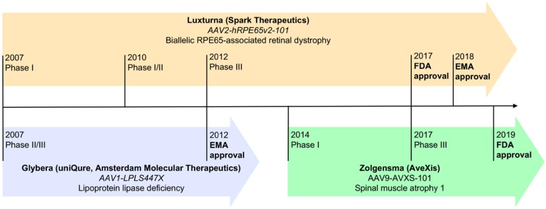 【维真生物-腺相关病毒】图2.3款获批上市的基于AAV载体的基因药物的时间表