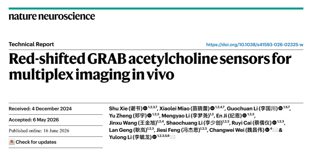 rACh红色探针体系与多递质同步成像案例的文章